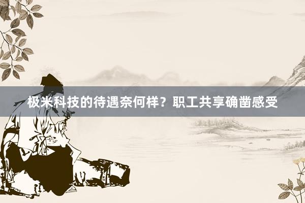 极米科技的待遇奈何样？职工共享确凿感受